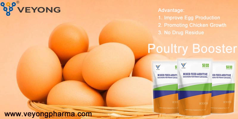 Poultry Booster Powder Broiler Feed Broiler Premix Price Wholesale Poultry Feed Premix From China Factories